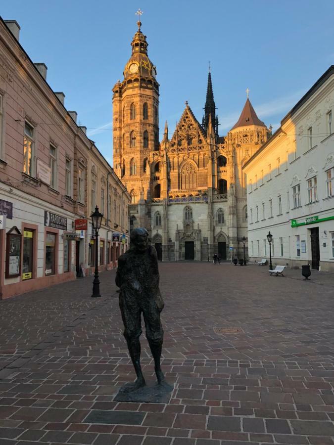 公寓 Old Town Podtatranskeho *