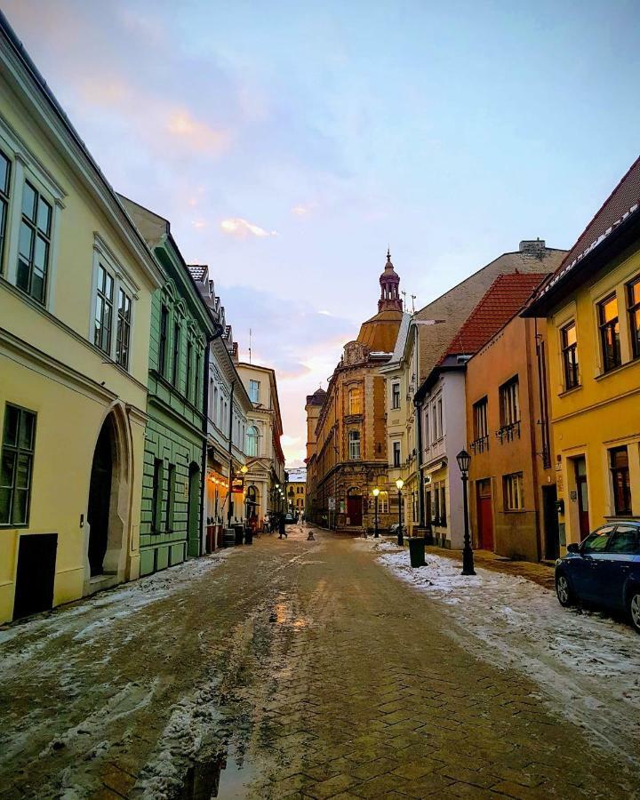 公寓 Old Town Podtatranskeho 科希策