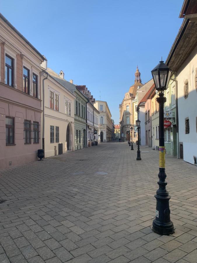 Old Town Podtatranskeho *